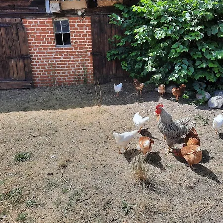 Nyaraló Am Oase Am Vilzsee *