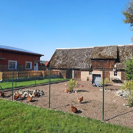 펜션 Am Oase Am Vilzsee 미로우